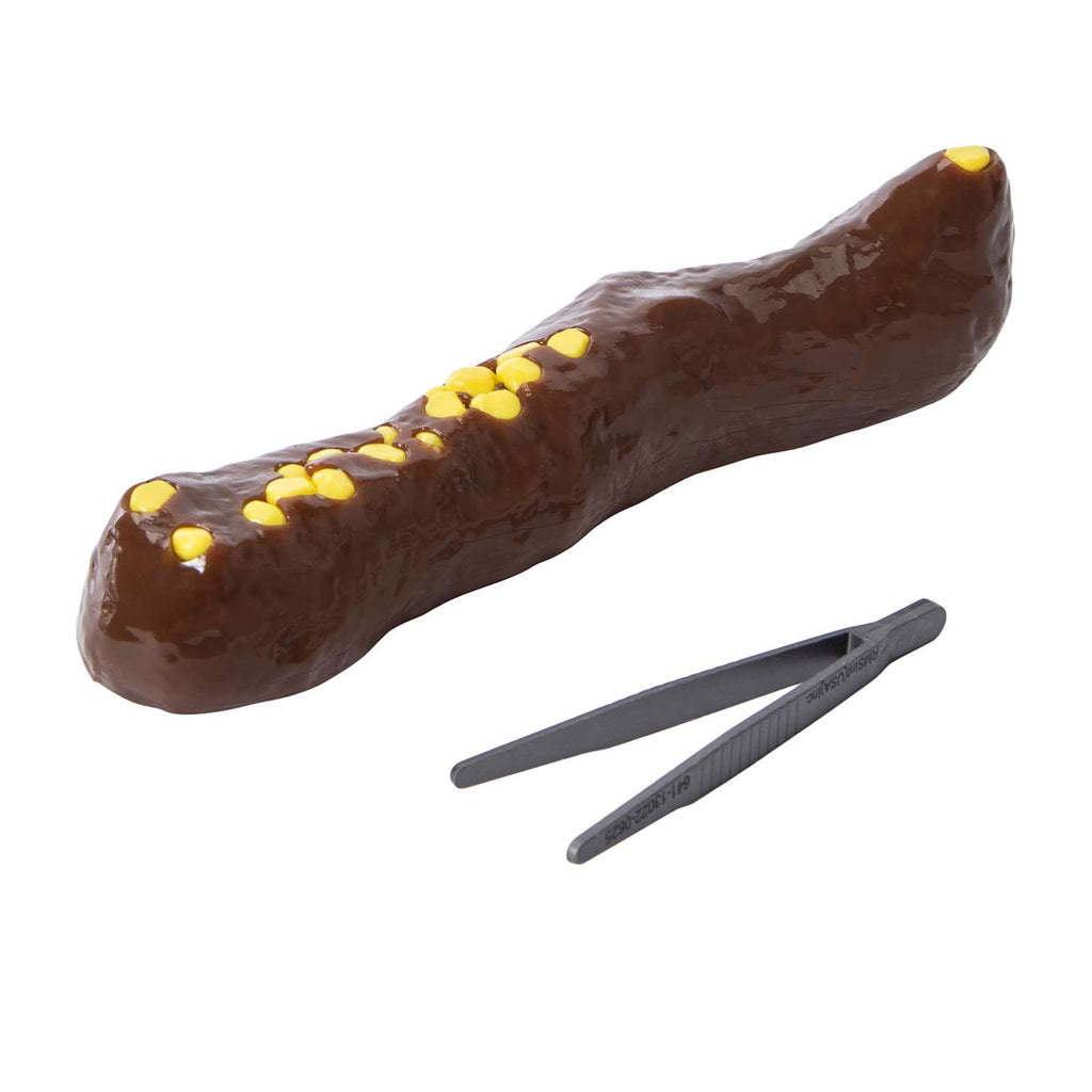 Giant Fake Poop